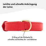 Hochwertiges Echtleder-Hundehalsband - Verstellbar, robust und ideal für kleine und große Hunde in stylischem Rot mit goldenen Schnallen. 