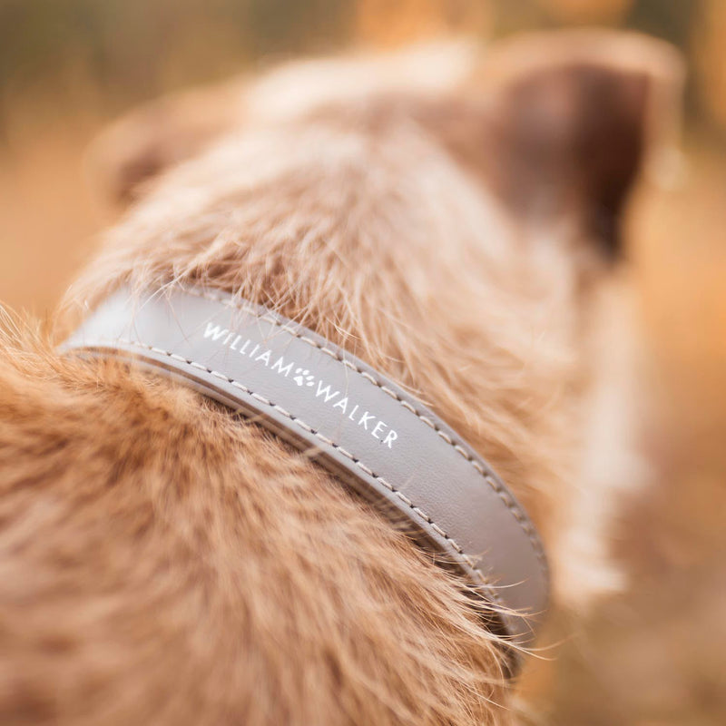 William Walker Hundehalsband Sand