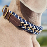 Paracord Leder Hundehalsband Hanseatic // Limited